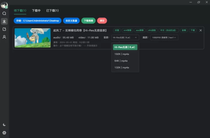 Bilidown(B站视频下载工具) v1.1.9 绿色版-小虎队软件库,软件库合集,免费资源分享