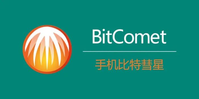 BitComet,比特彗星下载神器安卓版-小虎队软件库,软件库合集,免费资源分享